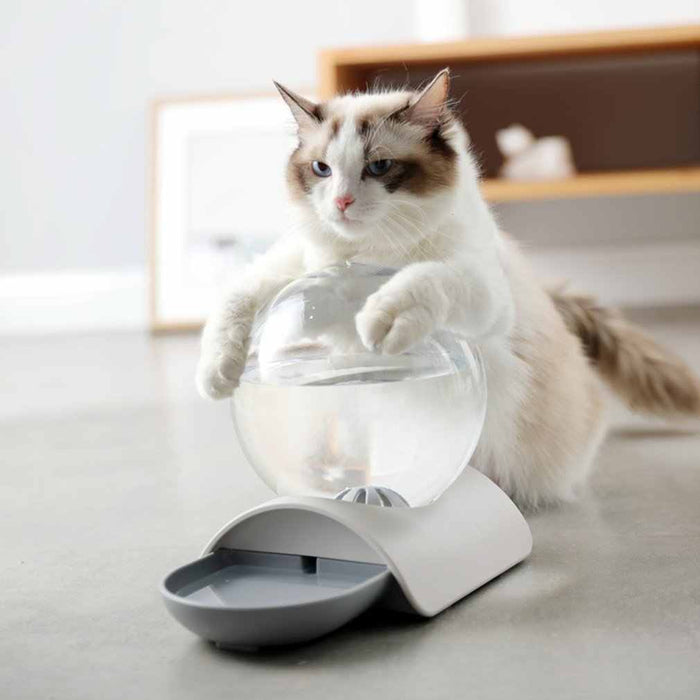 Bebedero dispensador automático de agua burbuja para gato