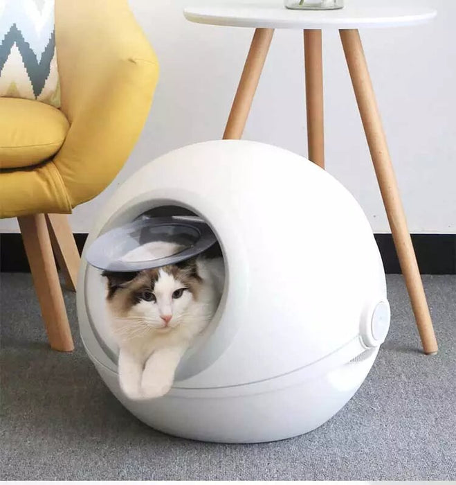 Arenera para Gato Poke Ball