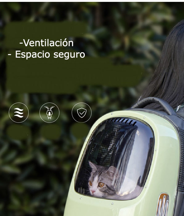 Morral con sistema de ventilación gato